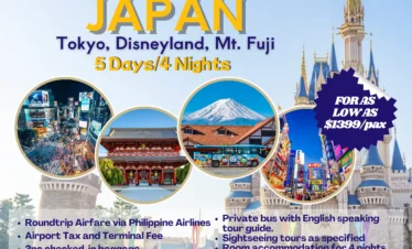 EXPLORE THE MAGIC OF DISNEYLAND JAPAN 5D4N TOUR