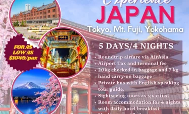 JAPAN 6D5N TOUR – Experience the Happiest Place on Earth